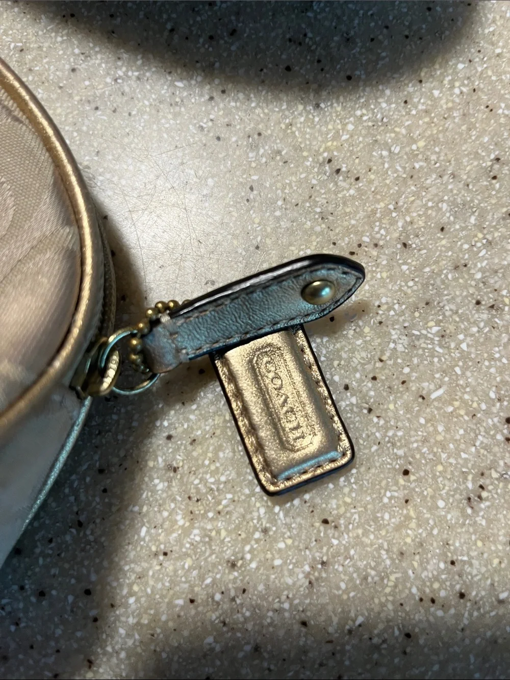 Coach Signature Monogram Cosmetic Pouch & Eyeglass Case in Taupe